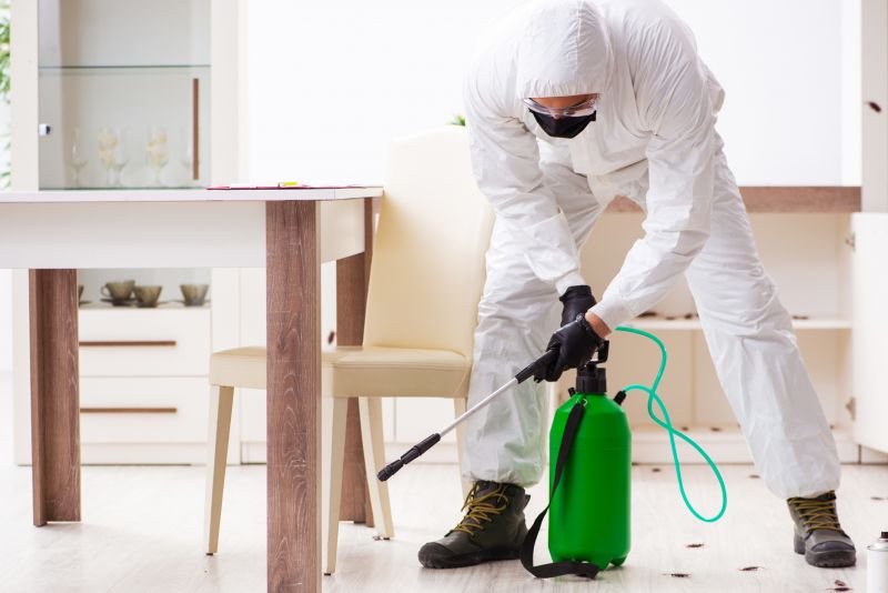 Pest Extermination Service